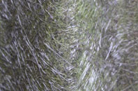 The Chuckery fibreglass roof work